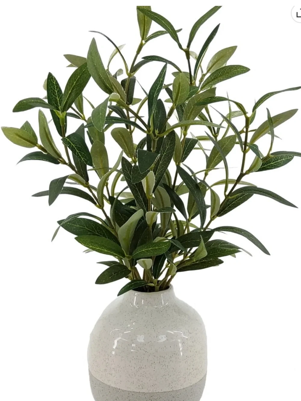 Better Homes & Gardens 14 in Artificial Olive Plant in Two-Tone Ceramic Vase